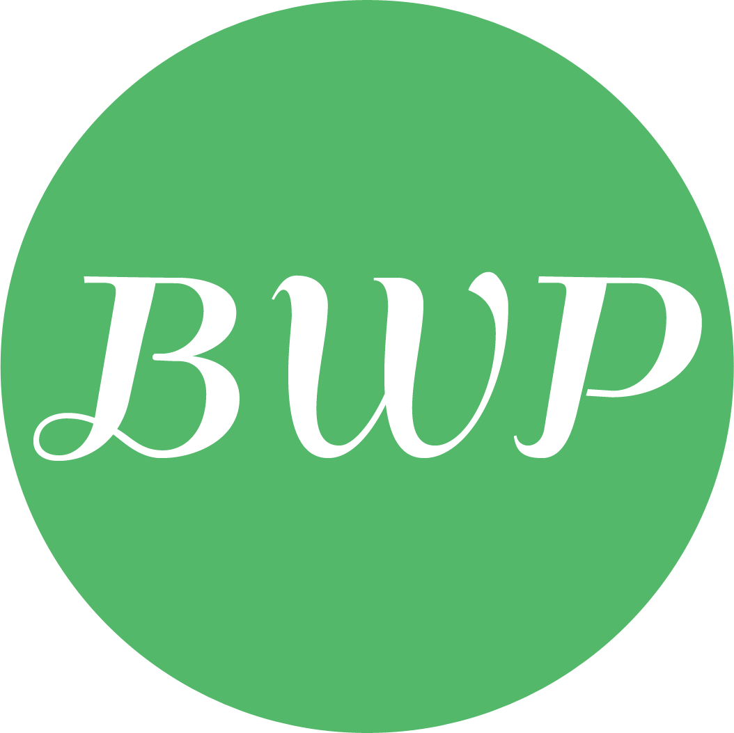 WordPress Support | Bellingham WP LLC